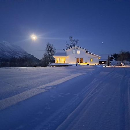 Mountainside Lodge - Breivikeidet Tromsø Exteriör bild