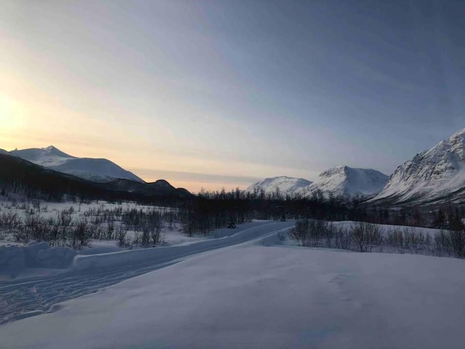 Mountainside Lodge - Breivikeidet Tromsø Exteriör bild