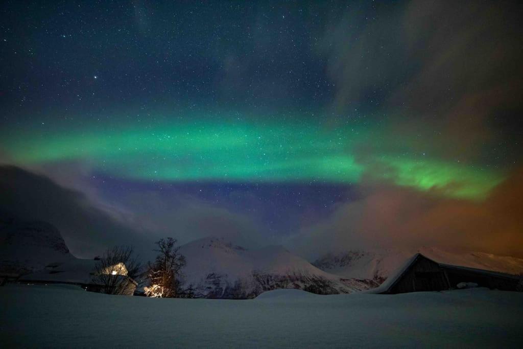 Mountainside Lodge - Breivikeidet Tromsø Exteriör bild