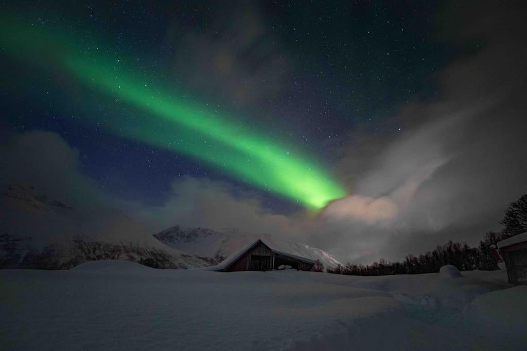 Mountainside Lodge - Breivikeidet Tromsø Exteriör bild