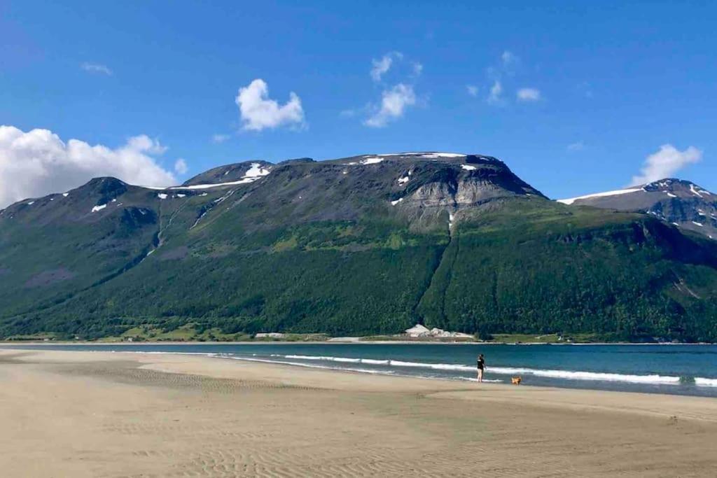 Mountainside Lodge - Breivikeidet Tromsø Exteriör bild