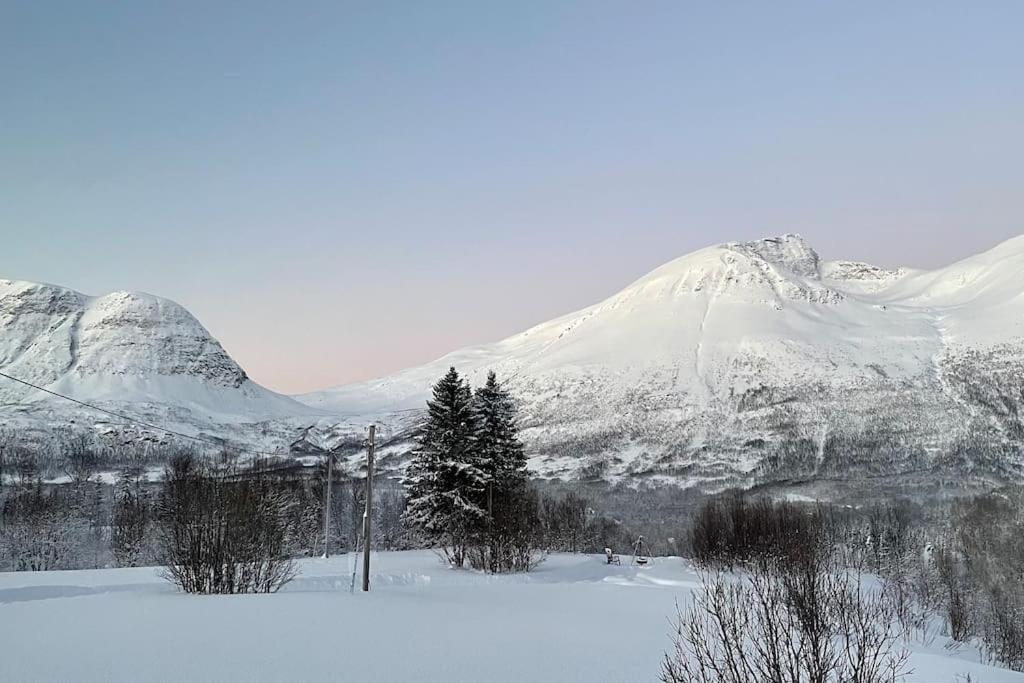 Mountainside Lodge - Breivikeidet Tromsø Exteriör bild