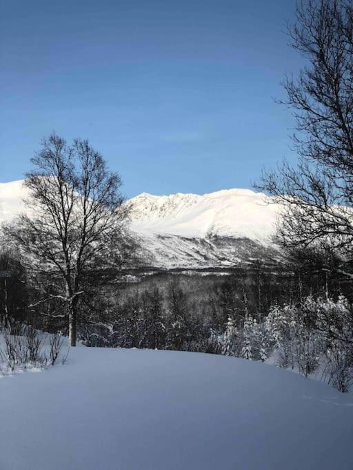Mountainside Lodge - Breivikeidet Tromsø Exteriör bild