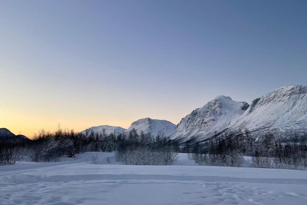 Mountainside Lodge - Breivikeidet Tromsø Exteriör bild