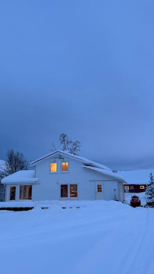 Mountainside Lodge - Breivikeidet Tromsø Exteriör bild