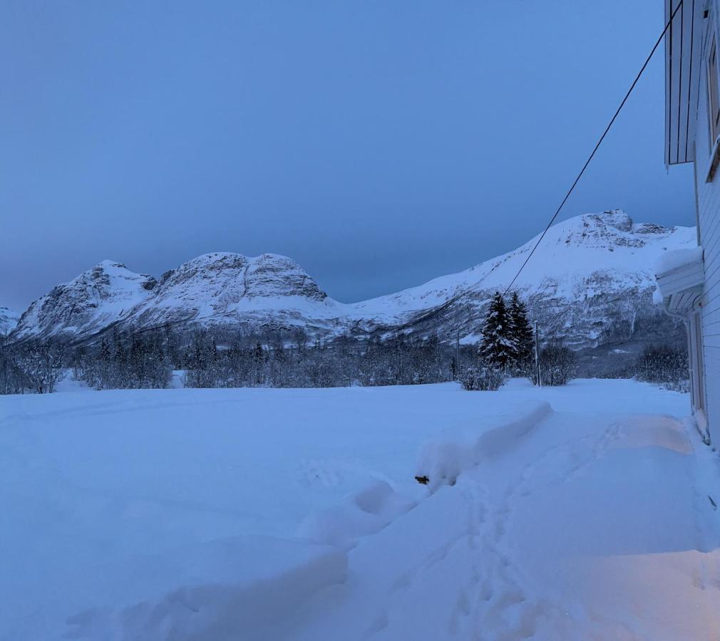 Mountainside Lodge - Breivikeidet Tromsø Exteriör bild