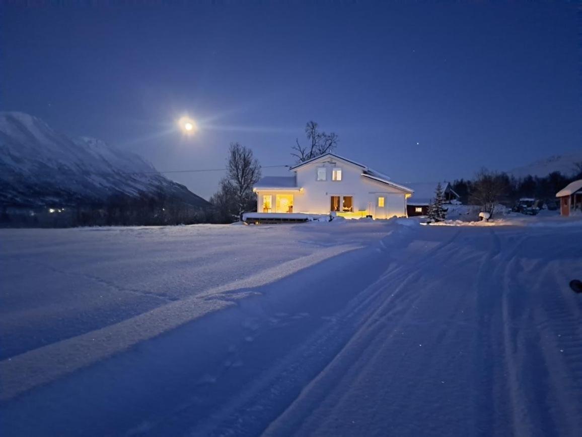 Mountainside Lodge - Breivikeidet Tromsø Exteriör bild