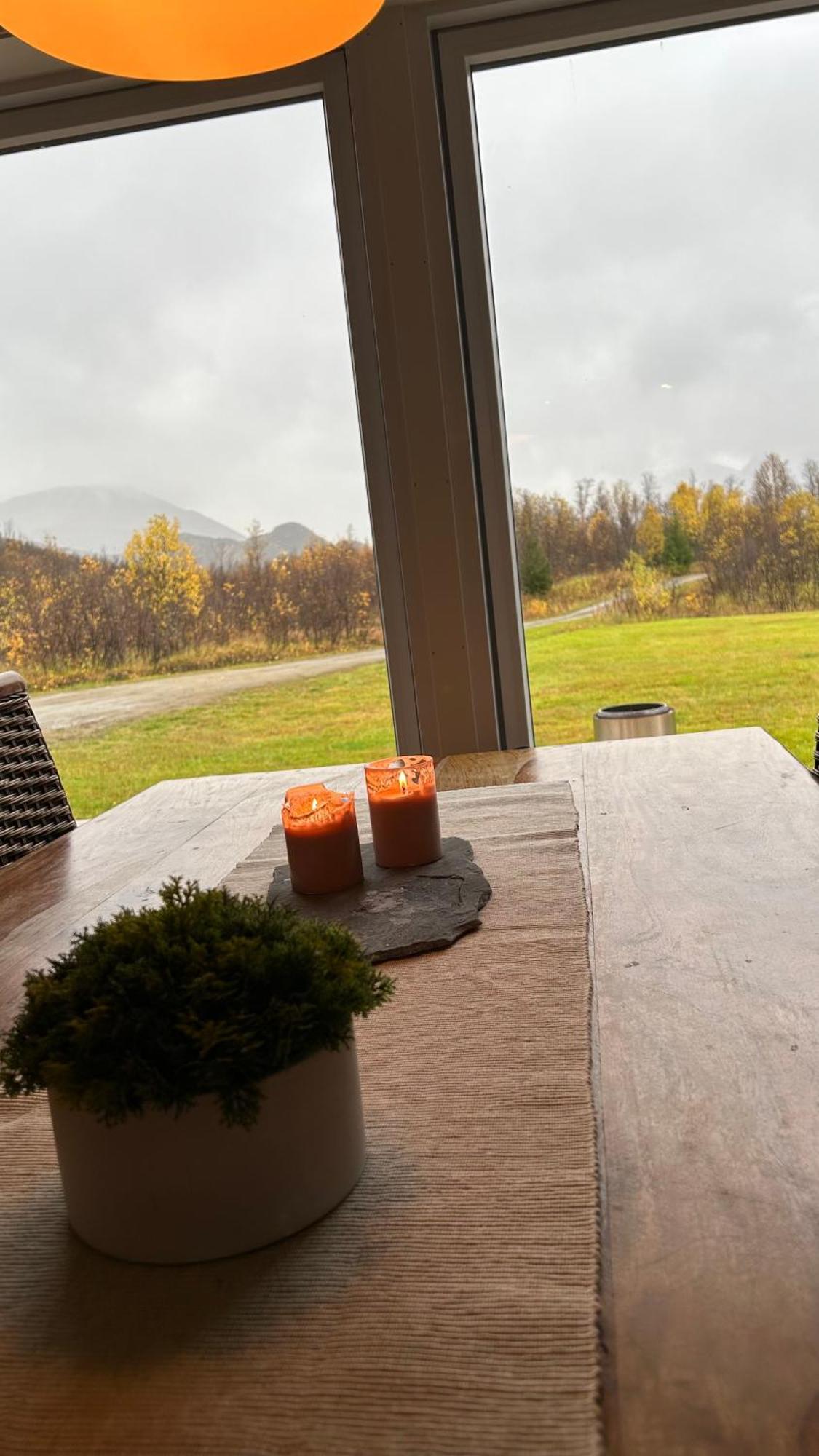Mountainside Lodge - Breivikeidet Tromsø Exteriör bild